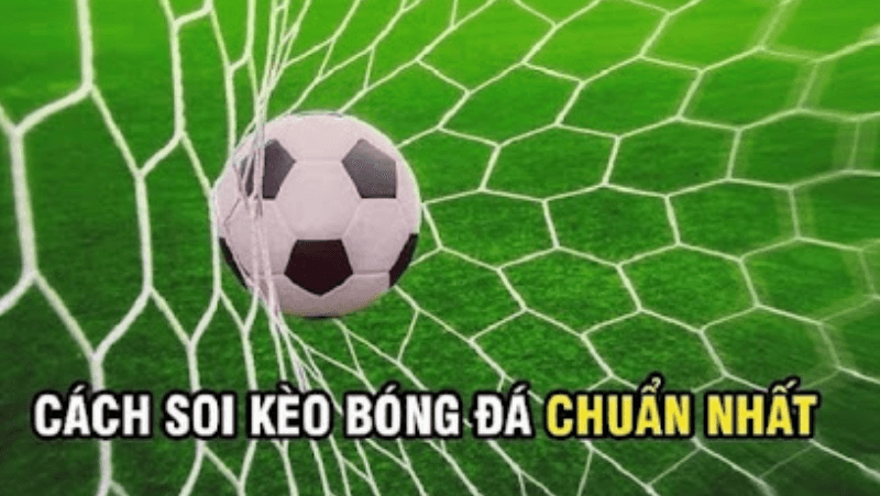 cách thực hiện kèo bóng đá ngày mai hiệu quả